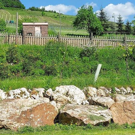Huettenflair-Mosel Ferienwohnung Enkirch Esterno foto